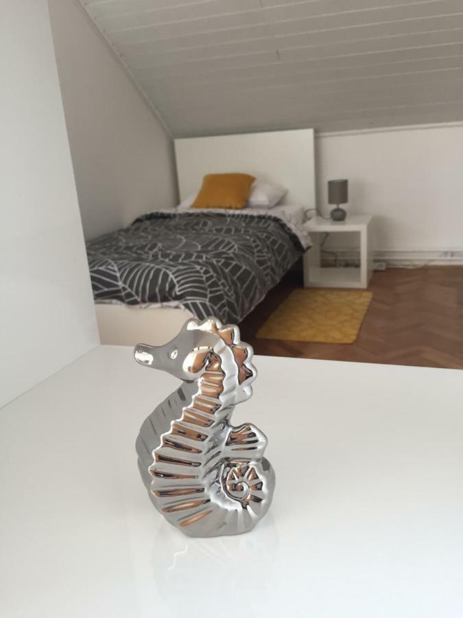 קארלובץ Apartman Studio Sonas 3 With Free Private Parking מראה חיצוני תמונה
