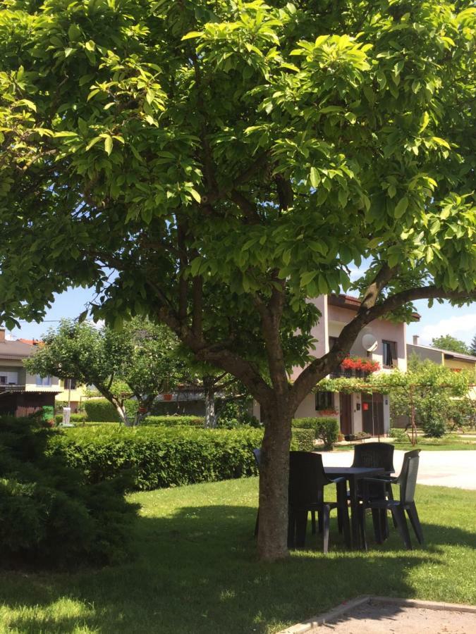 קארלובץ Apartman Studio Sonas 3 With Free Private Parking מראה חיצוני תמונה